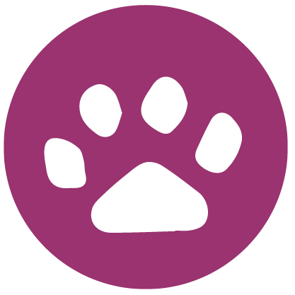 Wildlife