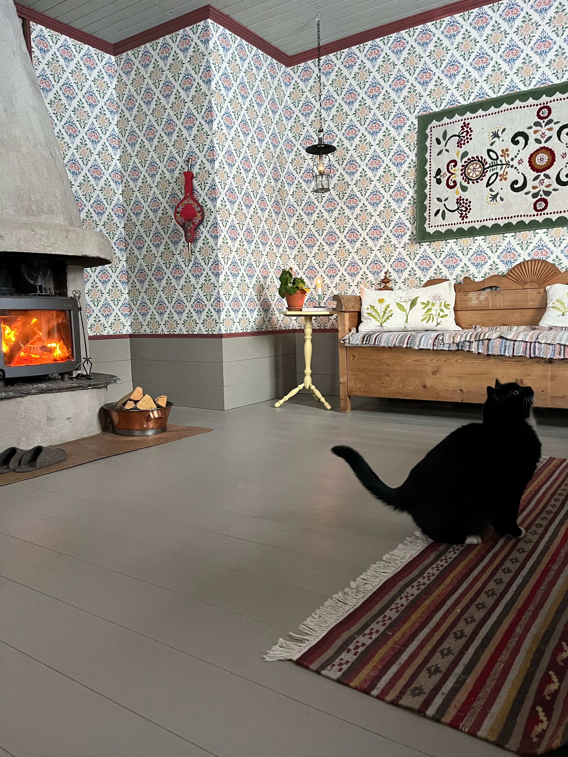 torpet125_katt.jpg