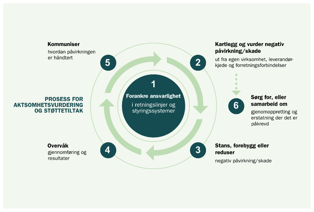 OECD aktsomhetsvurdering.png