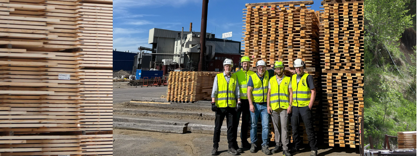 Parts of the project team