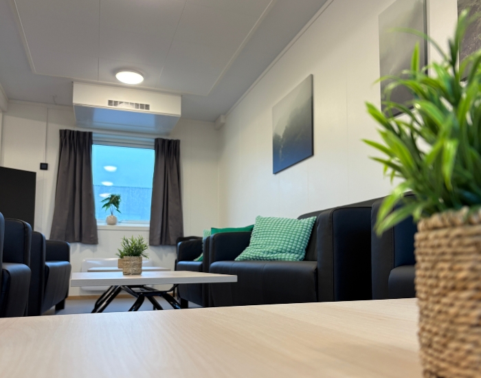 Fellesrom i boligrigg med møbler, naturlig dagslys fra vindu og grønn plante.