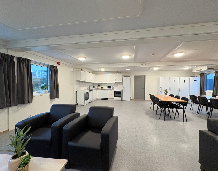 Stort kjøkken- og oppholdsrom i boligrigg med møbler, grønne planter og interiørdetaljer.