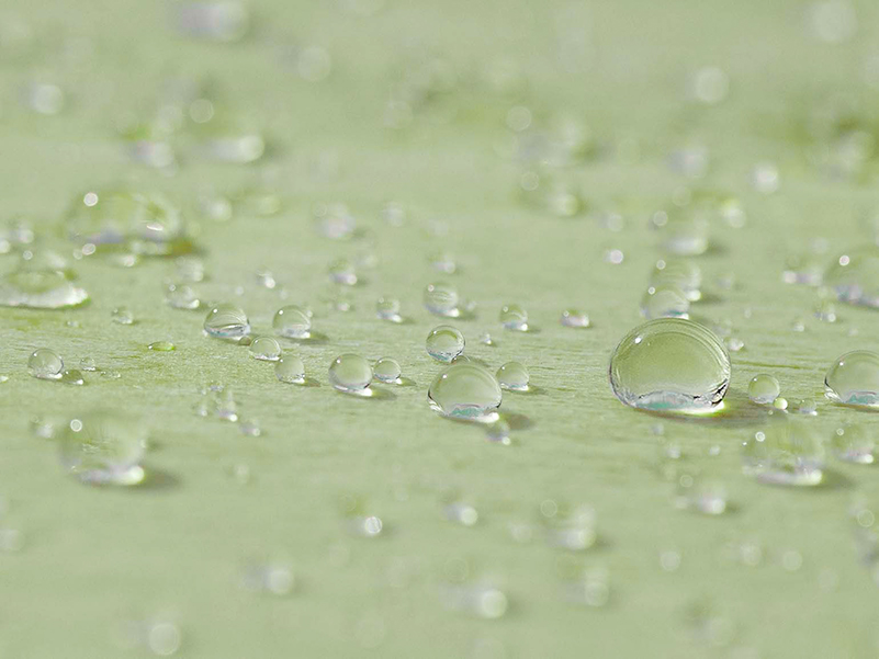 Weatherply är en vattenavvisande takplatta som ska förenkla byggprocessen.