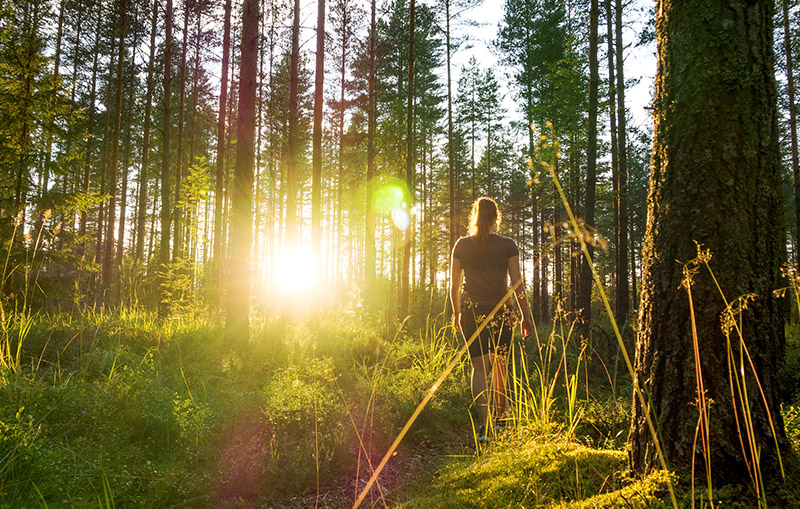 Kvinna_skog_sommar_800x509.jpg