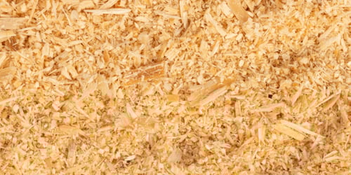 Sagflis 500x250.jpg