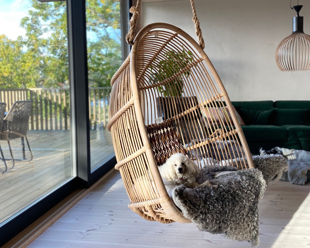 En katt i en hängande hammock med en filt och en katt