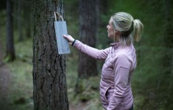 Kvinna i skogen läser en skylt på träd