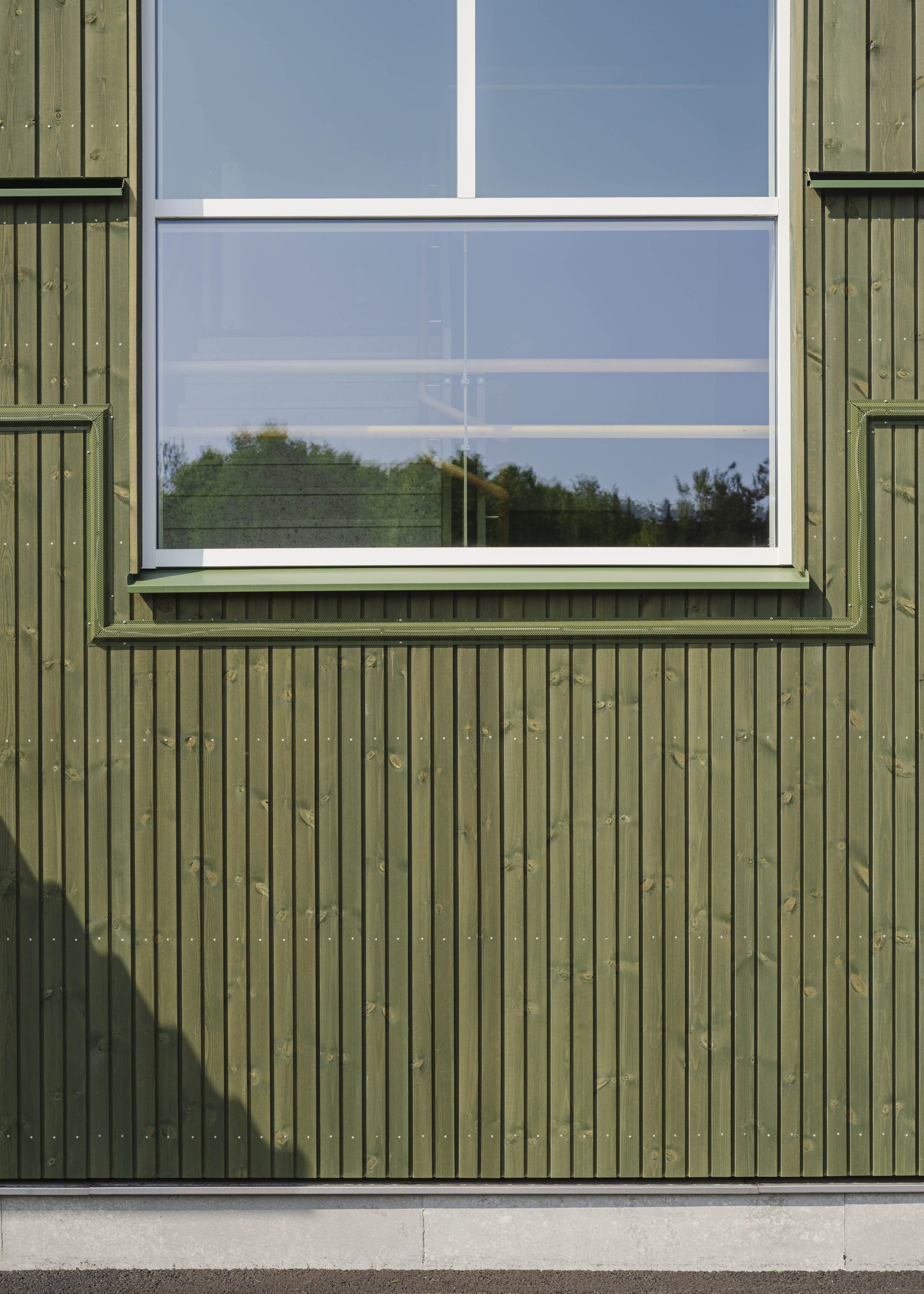 Kärnfuru KulörOlja Grön