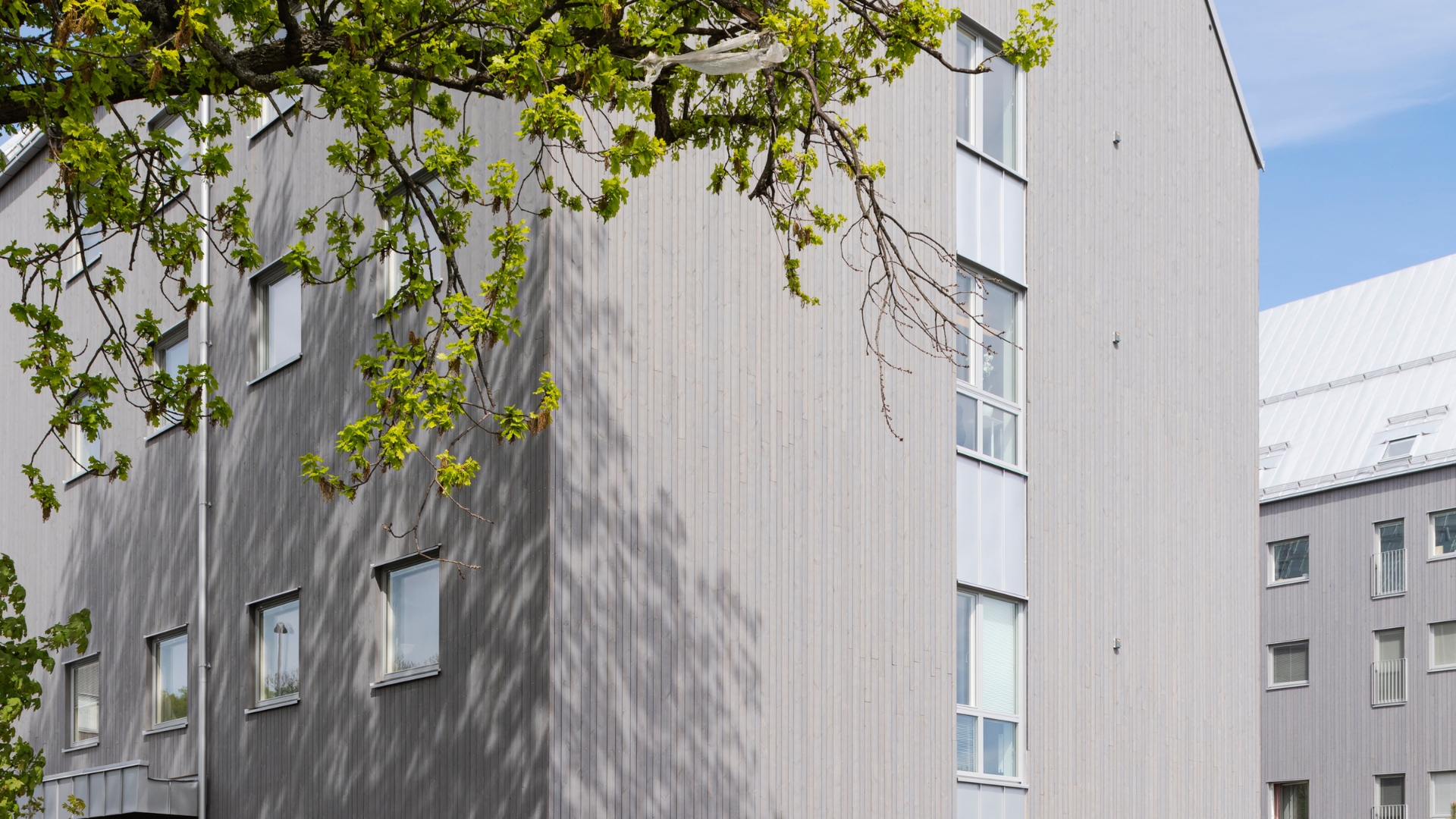 Flerbostadshus med fasad av ThermoWood BT Pigment Patinagrå