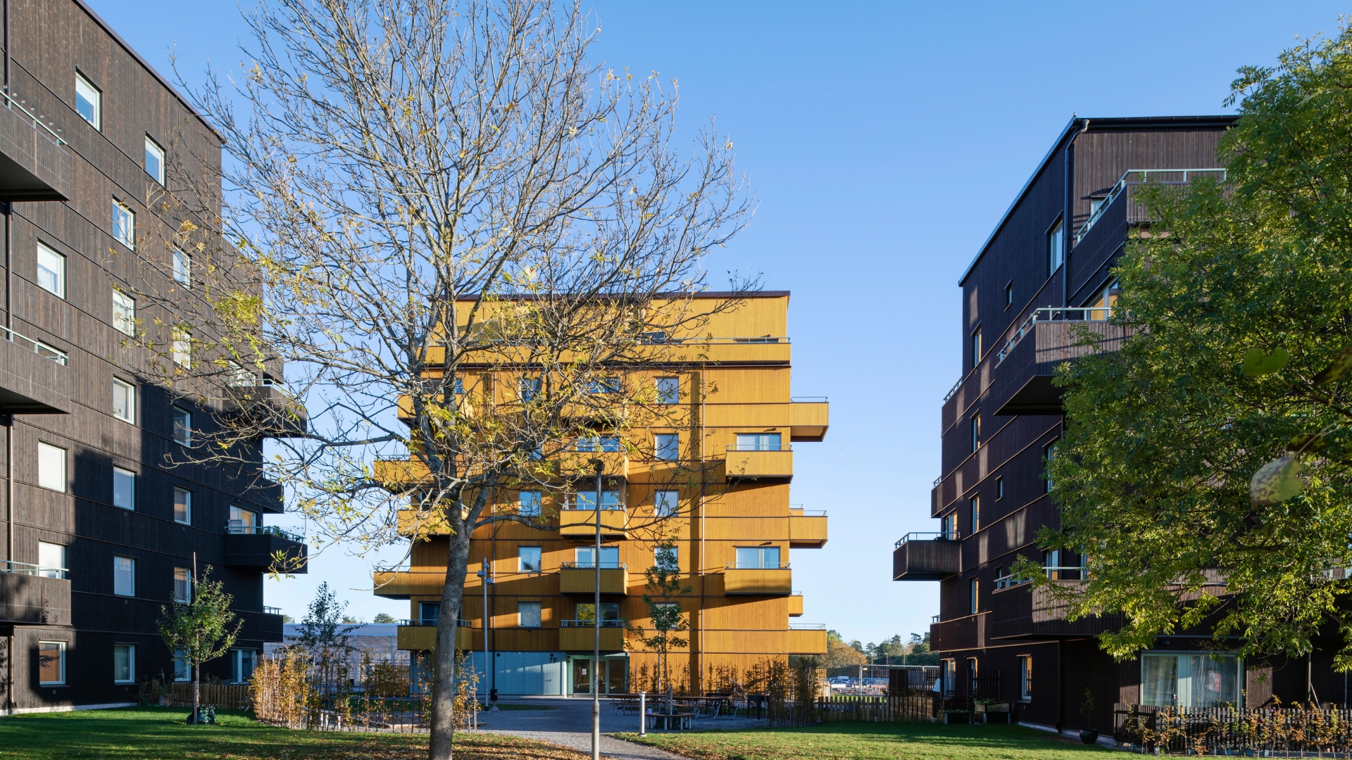 Tre flerbostadshus med fasad av ThermoWood BT Pigment. Två i kulör Svart och ett i kulör Gul