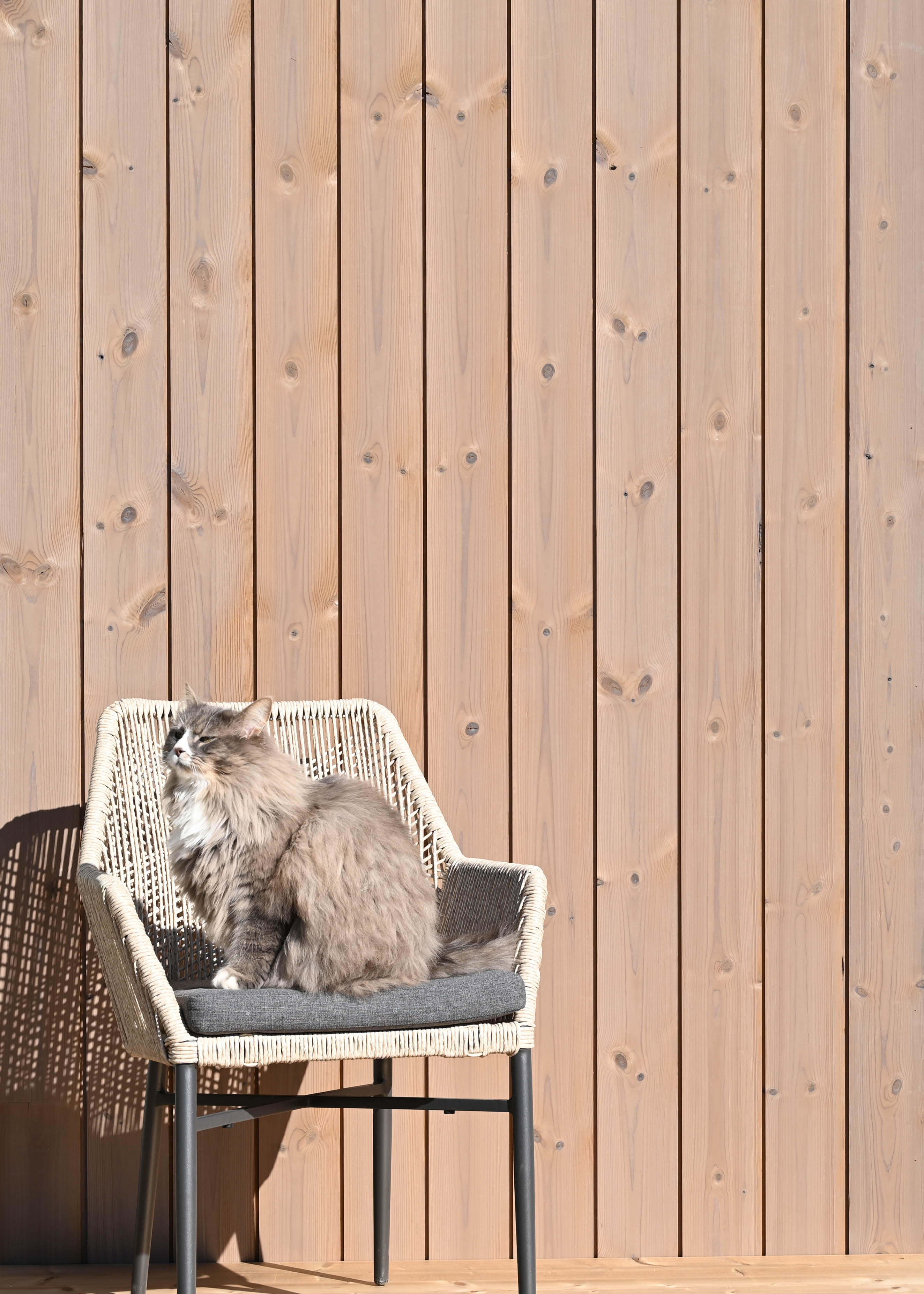 Röd ytterpanel ThermoWood