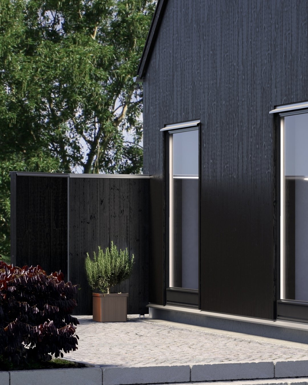 Hus och plan med svart träpanel