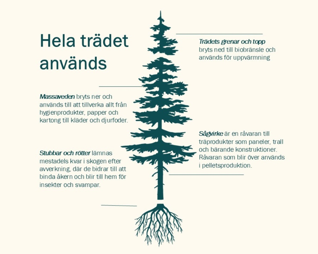 Skiss som visar hur hela trädet tas tillvara när det skördats