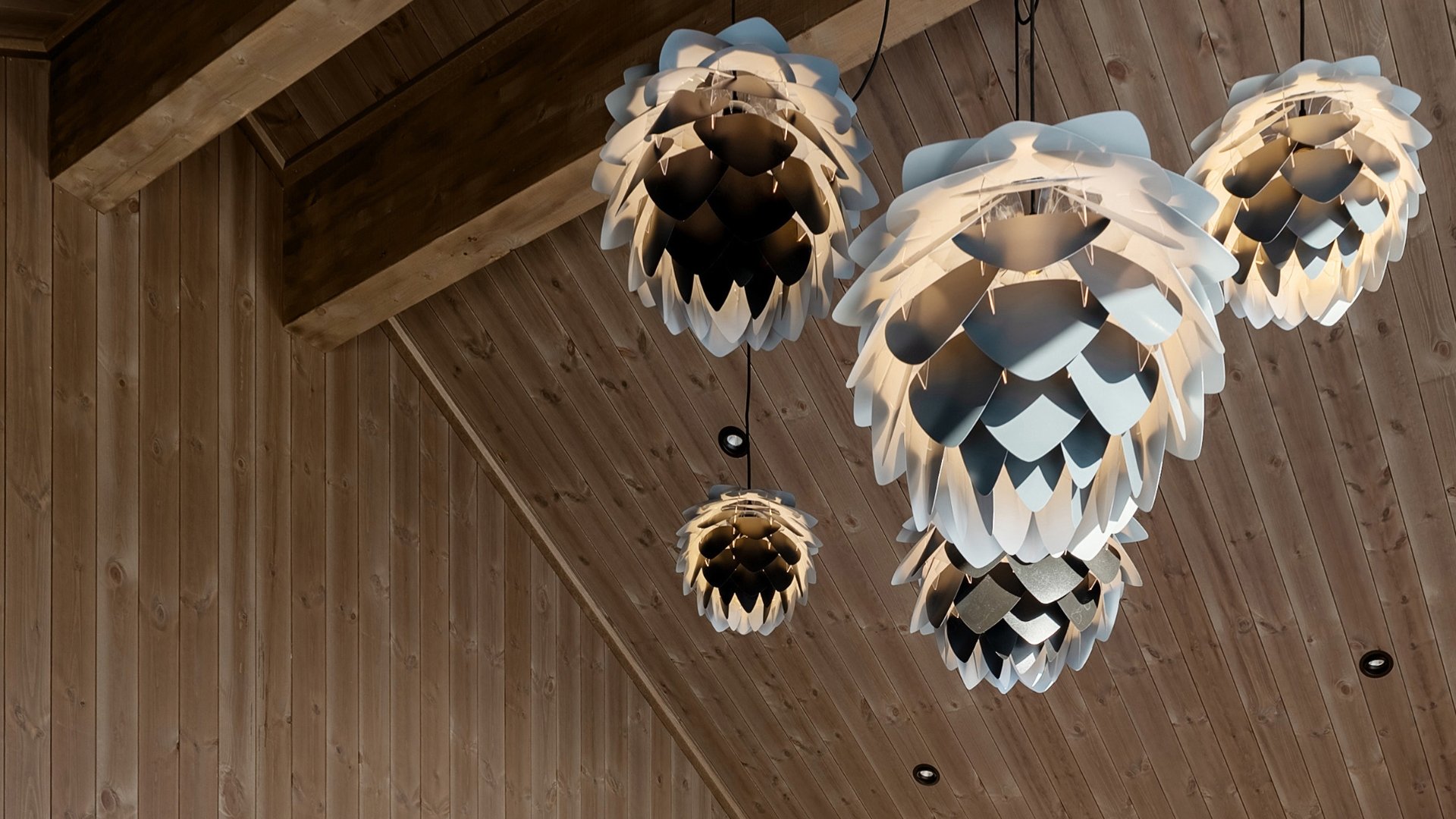 Tretak med panel og kongle lamper