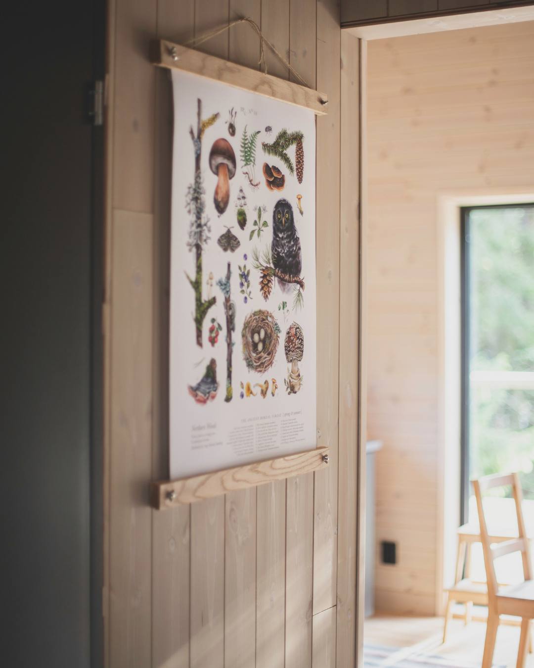 Panelvegg med liggende transparent lys farge med plakat av ulike sopper man kan plukke i skogen.