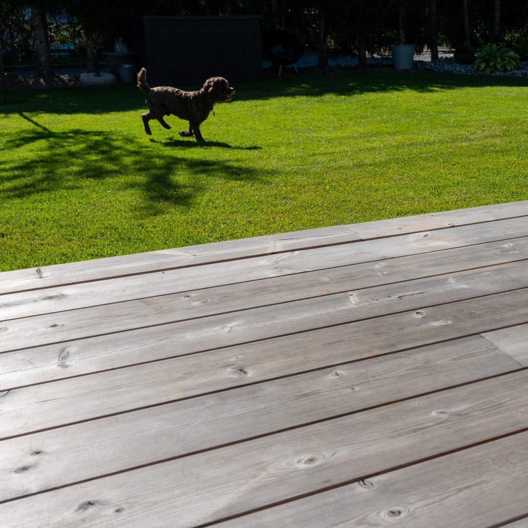 Termofuru terrasse med hund på gresset i bakgrunnen.
